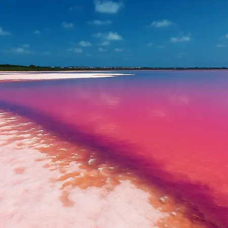Mar De Luz